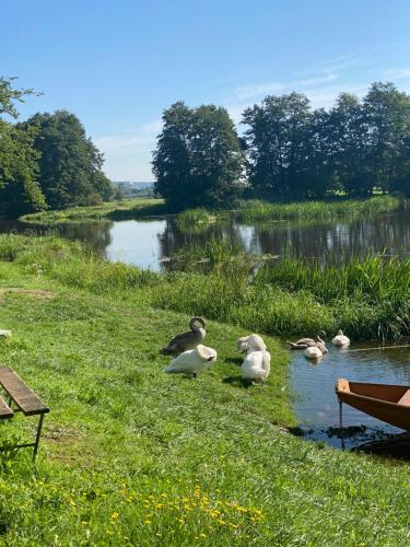 Idyllische Ferienwohnungen in Mossendorf Blick zur Naab