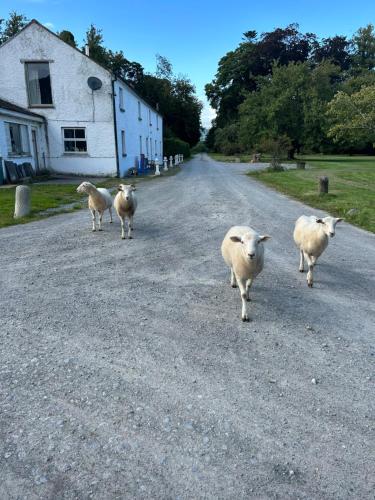 . Gurteen farm house