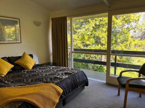 Caves Motor Inn in Hangatiki