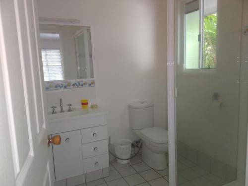 Near to Everything Yet in a Rainforest setting