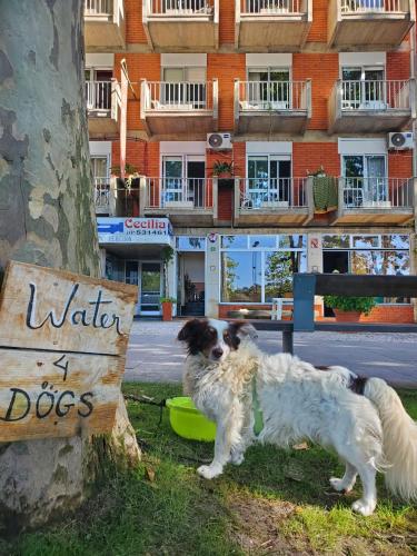 Pereira Guesthouse Cecilia Inn BnB Crespos