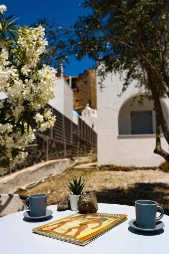Santorini cycladic house for 2 persons by MPS