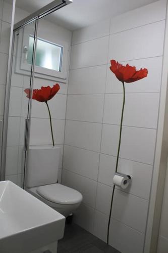 Lake Thun Apartment for max 3 Guests Ideal for Water Sports & Swiss Alps in Thun, Schweiz
