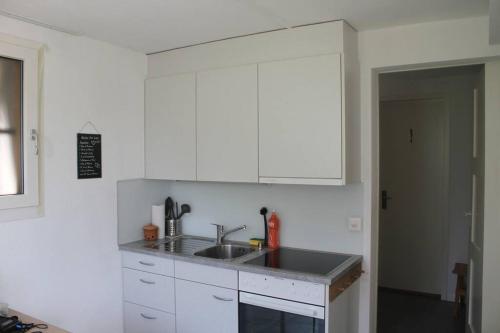 Lake Thun Apartment for max 3 Guests Ideal for Water Sports & Swiss Alps in Thun, Schweiz