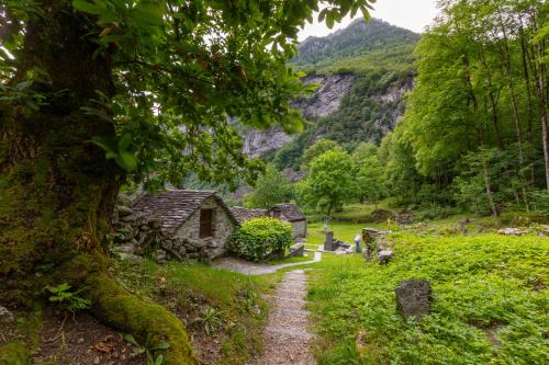 Facilities, Garden on the lake 2 - Happy Rentals in Vira