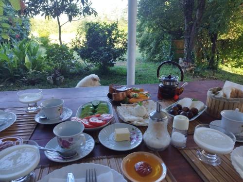 花園, Country House Uliana in 茨卡爾圖博