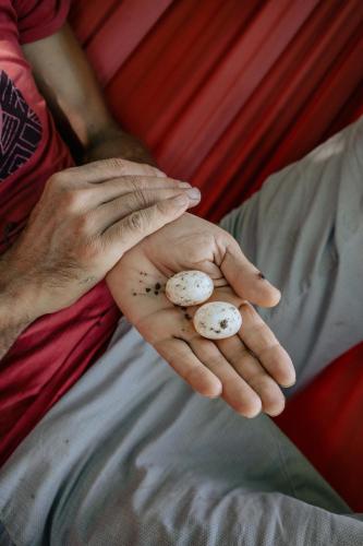 The house in the village The house in the village