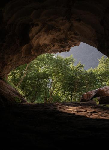 The house in the village The house in the village