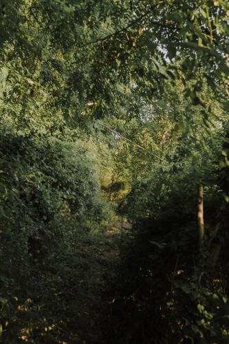 The house in the village The house in the village