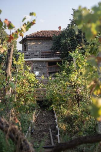 The house in the village The house in the village