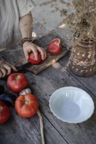 The house in the village The house in the village