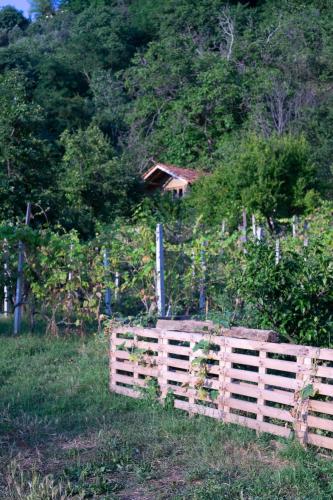 The house in the village The house in the village