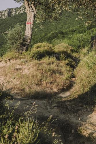 The house in the village The house in the village