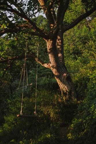 The house in the village The house in the village