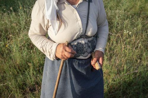 The house in the village The house in the village