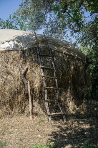The house in the village The house in the village