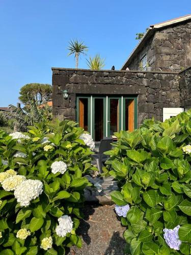 ทัศนียภาพภายนอกโรงแรม, Casa Pequena da Terra Alta in ซานโต อมาโร