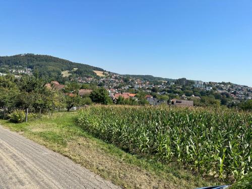 Appartment Naturblick