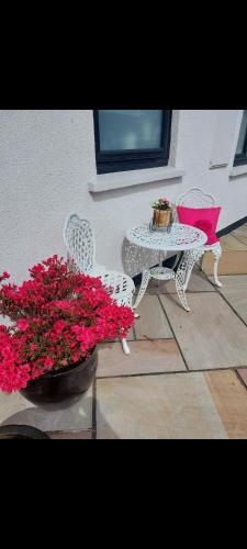 Knockrobin Cottage in Уїклоу