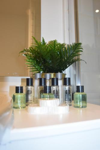 Hampton Suites Serviced Apartments - image 2