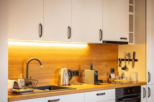 Apartmány Vinice Salabka - image 13