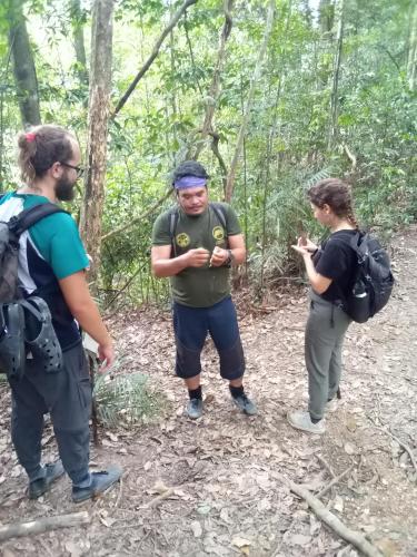 Jungle treking & Jungle Tour