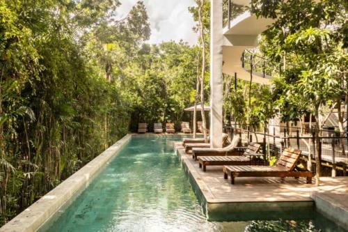 Spectacular Jungle Villa in Tulum Terrace Gym Private Pool