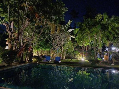 Balinda Rooms & Villa – Lovina Beach, CO