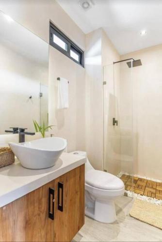 Modern Urban Jungle with Luxury Mayan Style in Tulum, Mexico