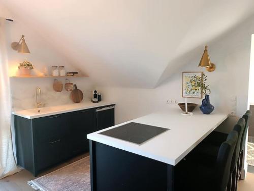 Konyha, Gemütliches Appartement im Kottenforst Nähe Bonn (Gemutliches Appartement im Kottenforst Nahe Bonn) in Meckenheim