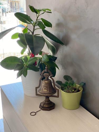 아그노네 B&B Tirassegno 2성급 호텔 전망