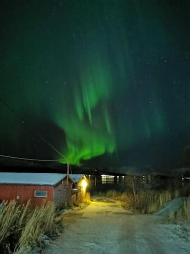 Arctic Tromso Apartment 1