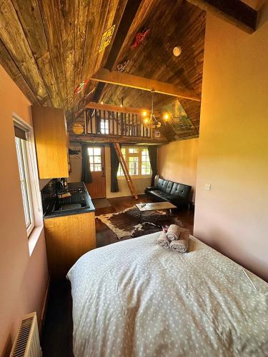 Lake View lodges