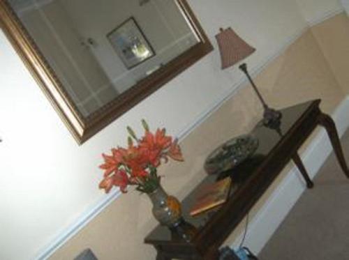 The Caraneal - image 6