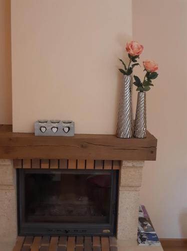 Flor de Muntanya HUT1-08302 in Canillo