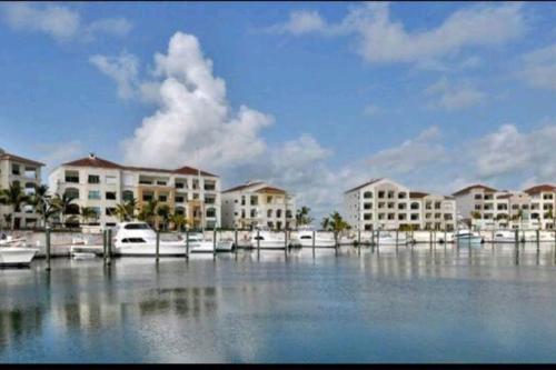 Apto estudio en Punta Cana, vista a la pisicina Apto estudio en Punta Cana, vista a la pisicina