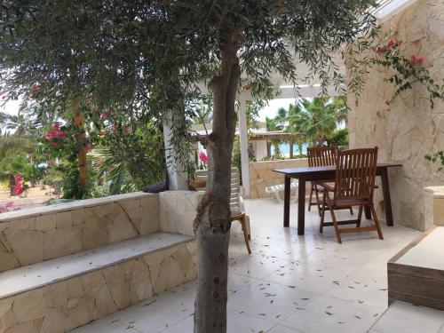 Garten, Beach Villa am Praia de Chaves, Boa Vista, Cabo Verde in Rabil