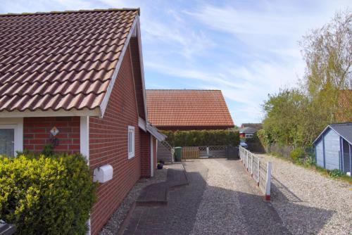 Seepferdchen, Brasilien (Schönberg) (foto 3)