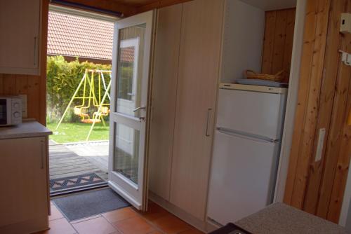 Seepferdchen, Brasilien (Schönberg) (foto 8)