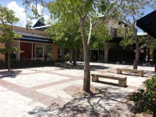 Amazing Beachfront Condo Cap Cana, Punta Cana Amazing Beachfront Condo Cap Cana, Punta Cana