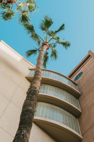 Courtyard by Marriott Los Angeles LAX / Century Boulevard