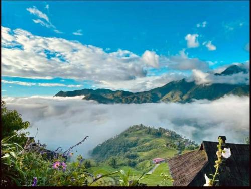Huân Đậu Đậu Homestay - 주변 환경