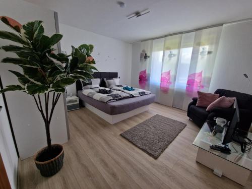 Ferienwohnung Starennest mit direktem Harzblick in Bad Lauterberg im Harz, Deutschland