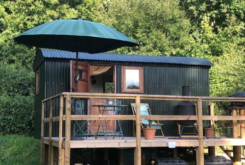 Shepherd's Hut. Shower & WC. Deck. Amazing view - Apartment - Longhope