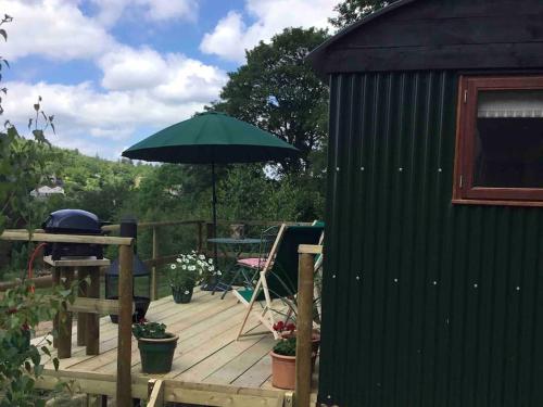 Shepherd's Hut. Shower & WC. Deck. Amazing view