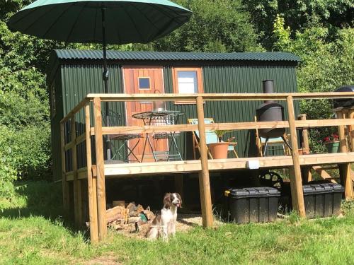 Shepherd's Hut. Shower & WC. Deck. Amazing view