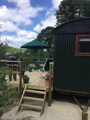 Shepherd's Hut. Shower & WC. Deck. Amazing view