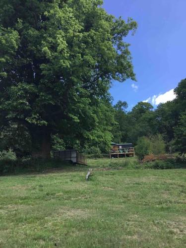 Shepherd's Hut. Shower & WC. Deck. Amazing view