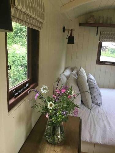 Shepherd's Hut. Shower & WC. Deck. Amazing view