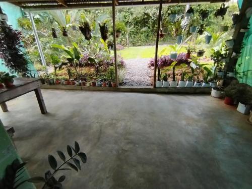 Maricel House in 瓜圖索